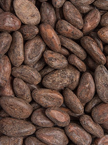 Biojoy Granos de Cacao crudos BÍO, granos enteros Theobroma cacao (0,5 kg)