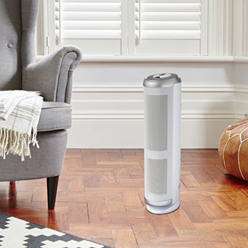 Bionaire Purificador de aire BAP1700 BAP1700-I, 70 W, 3 Velocidades, Gris