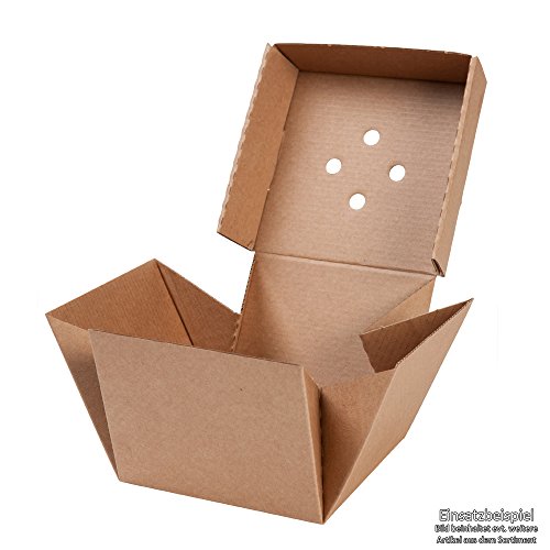 BIOZOYG 100x Burger-Box con Tapa Plegable I Bio cartón compostables Embalaje para Hamburguesa cartón Kraft con Agujero I Estable para Embalaje To Go cartón marrón 13x13x10cm, Cuadrado