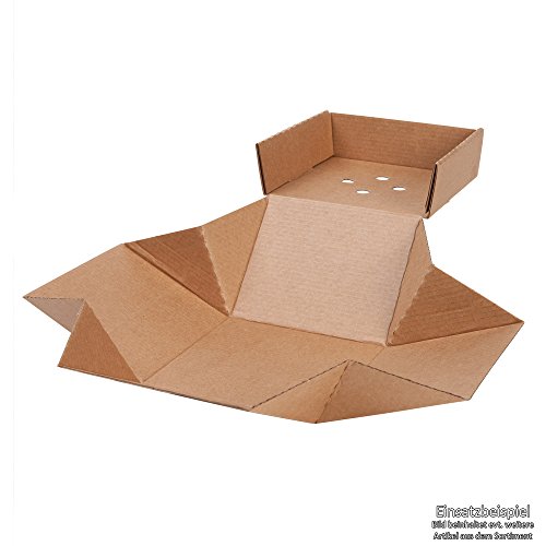 BIOZOYG 100x Burger-Box con Tapa Plegable I Bio cartón compostables Embalaje para Hamburguesa cartón Kraft con Agujero I Estable para Embalaje To Go cartón marrón 13x13x10cm, Cuadrado