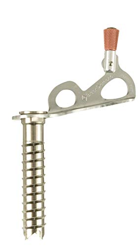 Black Diamond Express - Tornillos de hielo - 10 cm gris 2018