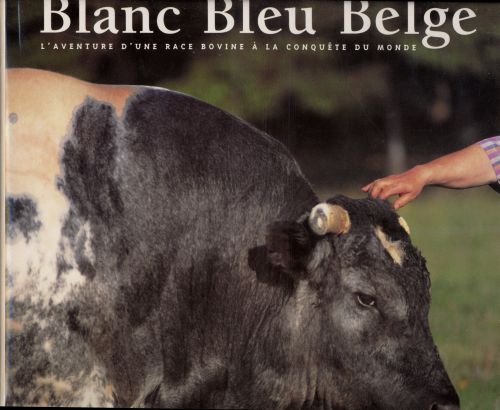 Blanc bleu belge : L'aventure d'une race bovine à la conquète du monde (DIVERS LIVRES RL)