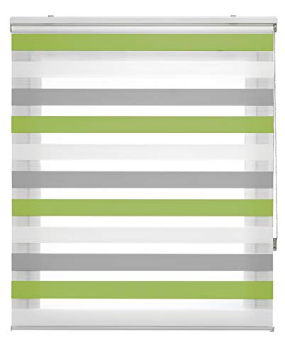 Blindecor Lira - Estor Enrollable, Doble Tejido, Noche y día, Tricolor, Poliéster, Color Gris Pistacho, 100 x 180 cm