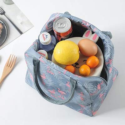 Bolsa Térmica Comida Bolsas de Almuerzo caja porta con Aislamiento Bolso de Mano para Mujeres Impermeable Fiambrera Isotermica Aislado Térmico Organizador del Almuerzo para Hombres niñas niños