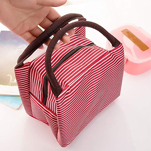 Bolsa TéRmica Comida para El Almuerzo URIBAKY * Bolsa De Almuerzo PortáTil Bento Bolsa Aislada para Adultos/Hombres/Mujeres Oficina Y Escuela De Trabajo