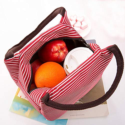 Bolsa TéRmica Comida para El Almuerzo URIBAKY * Bolsa De Almuerzo PortáTil Bento Bolsa Aislada para Adultos/Hombres/Mujeres Oficina Y Escuela De Trabajo