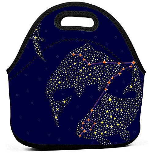 Bolsas de almuerzo Signo del zodiaco Piscis sobre cielo estrellado Bolsa de asas con aislamiento de neopreno para hombres Mujeres Trabajo de oficina Picnic Viajes