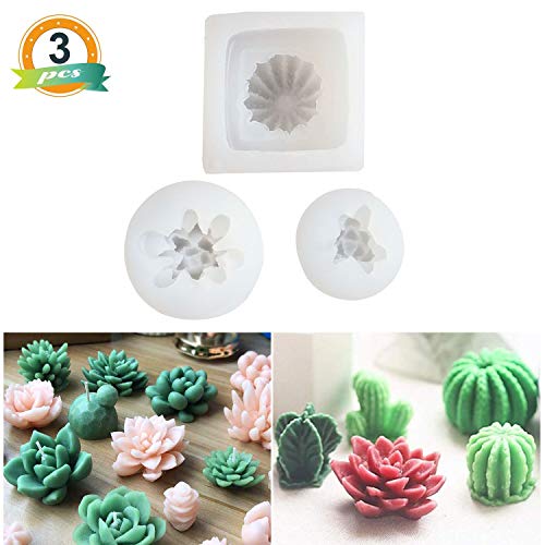 boogift 3 Piezas de Cactus 3D Silicona Forma Fondant Pastel Forma Varios Cactus Chocolate Jalea Dulces Hornear Formas para día de San Valentín Fiesta de cumpleaños Boda SPA Home Decoration