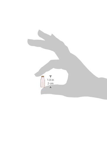 Bormioli Rocco Quattro Stagioni 1L Jarra Alrededor Vidrio Transparente - Jarras (1 Pieza(s))