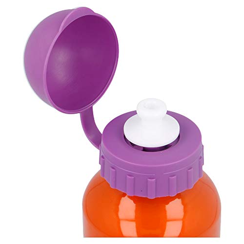 Botella Aluminio 400 ML. Super ZINGS