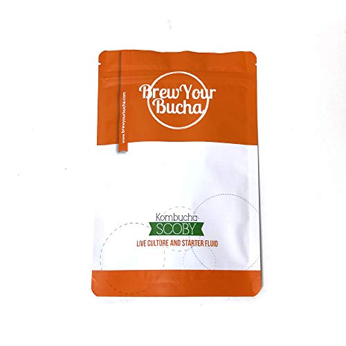 Brew Your Bucha Kobucha SCOBY con Starter Fluid. SCOBY cultivado con azúcar y té de oro negro Yunnan (1 SCOBY)