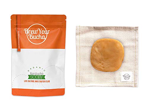 Brew Your Bucha Kombucha SCOBY with Starter Fluid. SCOBY Grown with Organic Sugar & Certified Organic Black Yunnan Gold Tea (2 SCOBY)