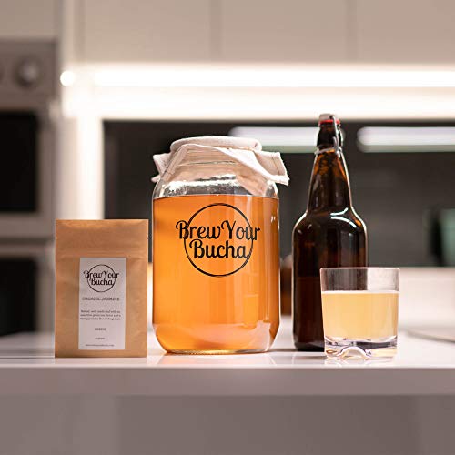 Brew Your Bucha Kombucha SCOBY with Starter Fluid. SCOBY Grown with Organic Sugar & Certified Organic Black Yunnan Gold Tea (2 SCOBY)