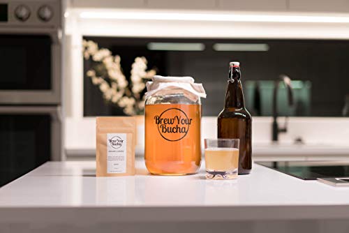 Brew Your Bucha Kombucha SCOBY with Starter Fluid. SCOBY Grown with Organic Sugar & Certified Organic Black Yunnan Gold Tea (2 SCOBY)