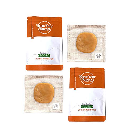 Brew Your Bucha Kombucha SCOBY with Starter Fluid. SCOBY Grown with Organic Sugar & Certified Organic Black Yunnan Gold Tea (2 SCOBY)