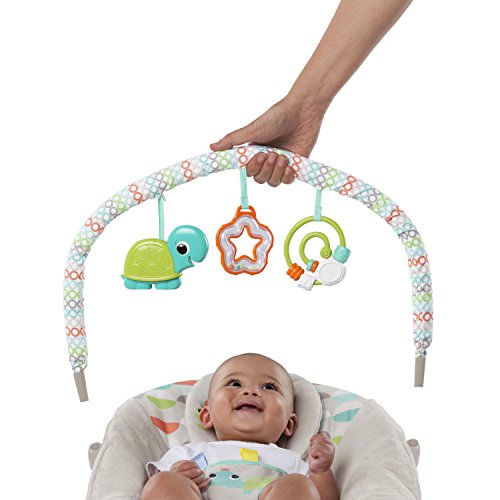 Bright Starts, Juguete hide & peek