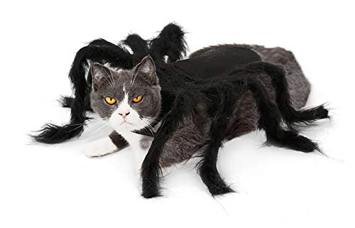 BRONG - Disfraz de Halloween para gatos y perros pequeños, diseño de araña, ajustable, para Halloween, cosplay, decoración de fiesta (S)