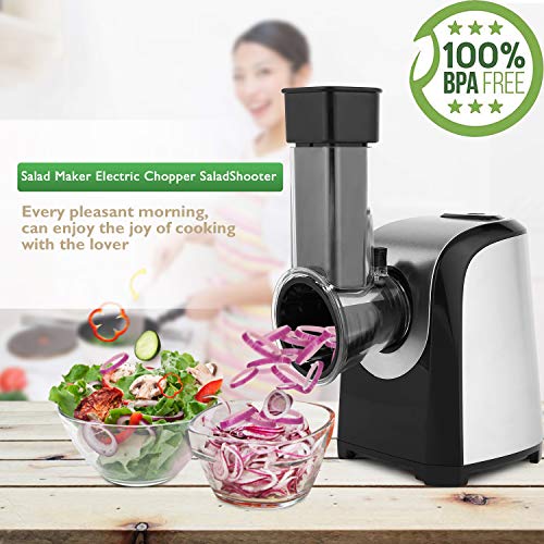 Bunao Eléctrico En Espiral Cortador de Verduras Patatas Frutas, Mini Máquina de Cortar Espiral Incluye 5 Accesorios para Cortar, 150W (Cortadores para Patatas y Vegetales)