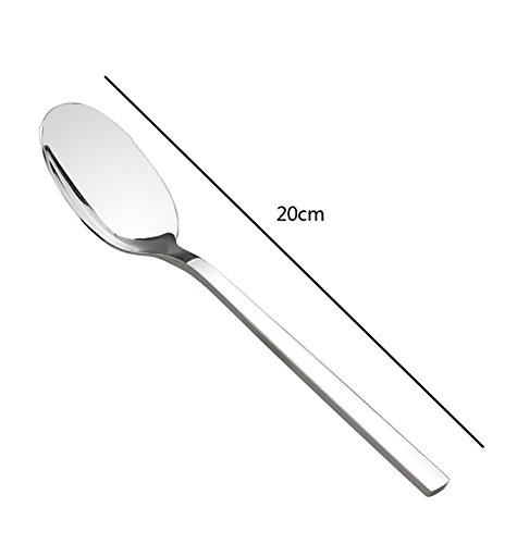 Cadine Set de 12 Piezas Cuchara de Cena, Cucharas De Acero Inoxidable