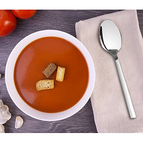 Cadine Set de 12 Piezas Cuchara de Cena, Cucharas De Acero Inoxidable