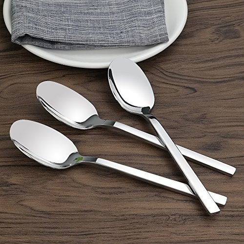 Cadine Set de 12 Piezas Cuchara de Cena, Cucharas De Acero Inoxidable