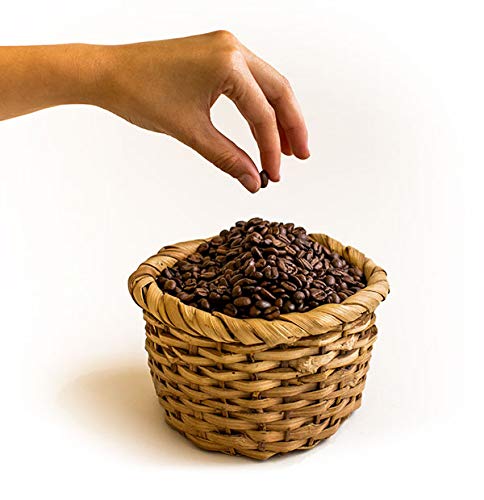 Café Britt Costa Rica | Café Gourmet Hábitat Blend | 100% Café Arábica | kosher, sin gluten | molido | paquete de 340 g