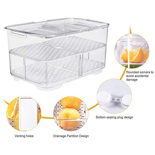 Caja de almacenaje De Drenaje de plástico Sellado refrigeradores Dobles Cocina de Almacenamiento de Drenaje de la Caja de almacenaje frigorífico Vegetal del envase Tapa Organizador (Color : L)
