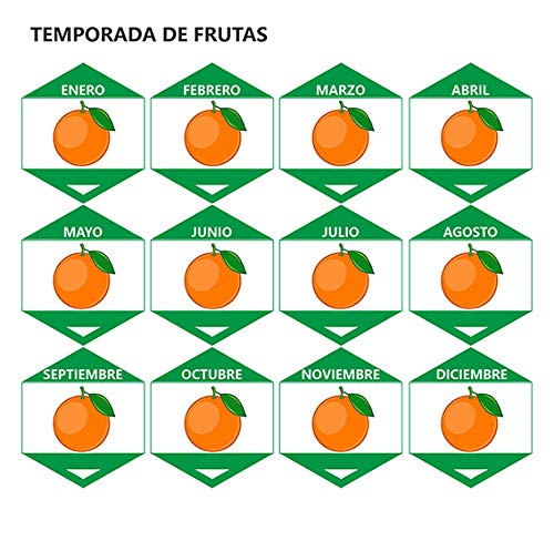 Calamondin - naranjo enano de interior - cítricos comestibles - maceta cerámica 12cm - planta viva (blanco)