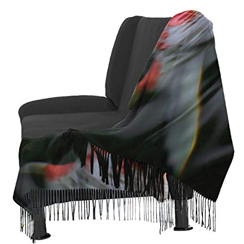 Cálido Bufandas de Invierno Pez rojo Carpa koi de Japón en estanque Amoníaco Amonio Cría de carbohidratos Cultivo Pashmina Chales mujer Bufandas