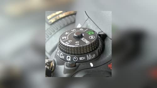 Camera Guides