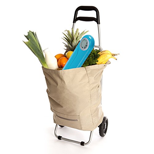 Camry Báscula Digital de Cocina Plegable,Balanza Electrónica para Cocinar,Mini Balanza para Alimentos,Peso de Cocina con Pantalla LCD, Hasta 5Kg de Peso,Función de Auto-Apagado y Tara(Azul)