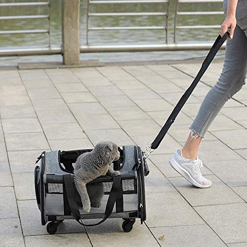 Carretilla para Mascotas, Bolsa para Trolley para Mascotas Mayor ventilación en la Jaula de arroz para Gatos de Verano con una Bolsa para Perros portátil Bolsa de Viaje con Ruedas Espacio Grande