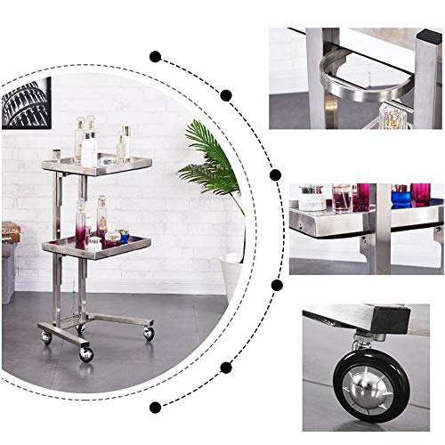 Carros de servicio Carrito de Servicio rodante con Mango, Carro de Acero Inoxidable para salón de Belleza, Ruedas,Carrito Plegable, 4 Ruedas / 2 Capas/Plata/tamaño: 50 * 40 * 87 cm