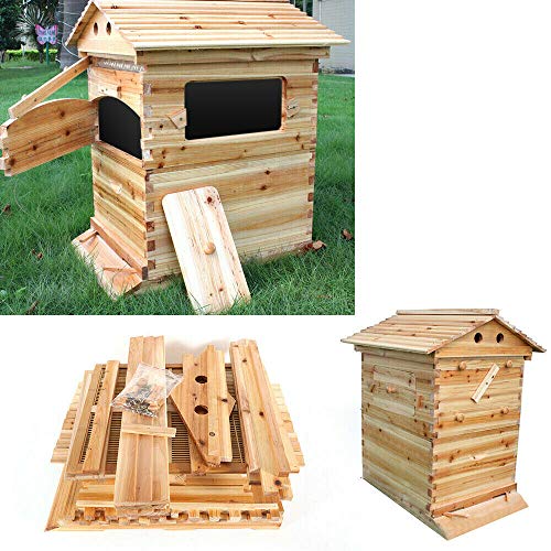 Casa de abeja de madera – bastón de abejas resistente a la humedad House Deluxe Coleccione para apicultura para marco de abejas