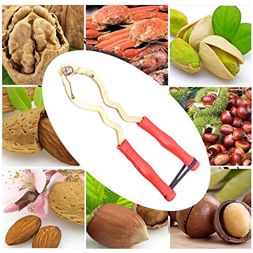 Cascanueces empuñadura Antideslizante, galletas de avellanas para nueces, Nueces de nogal abridor