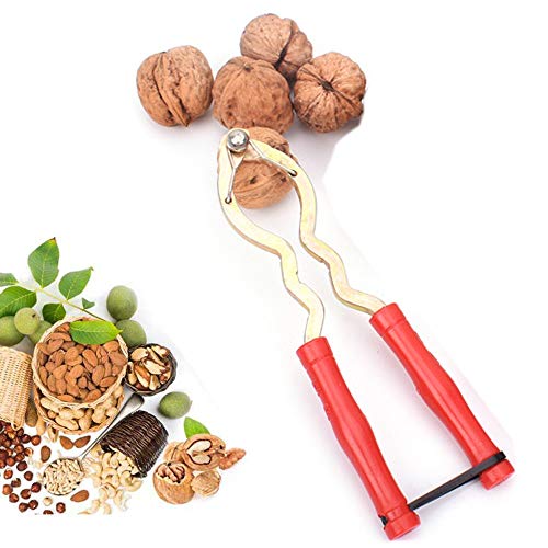 Cascanueces empuñadura Antideslizante, galletas de avellanas para nueces, Nueces de nogal abridor