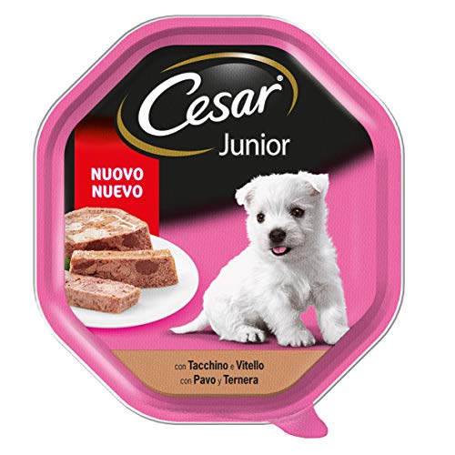 Cesar Tarrina de Comida Húmeda para Perros Cachorros Sabor Pavo (Pack de 14 x 150g)