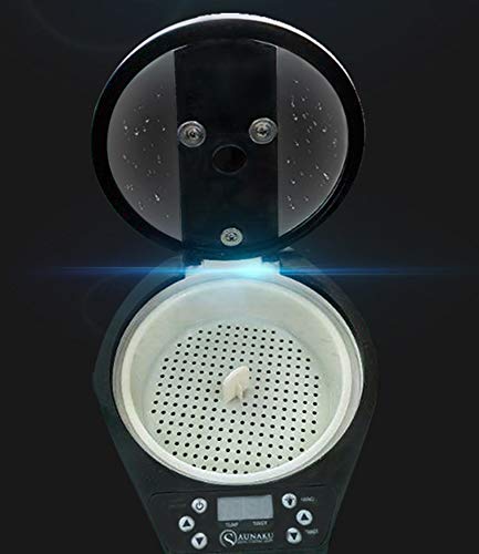 CGOLDENWALL - Sauna de vapor portátil para spa o saunas - Generador de vapor para el hogar - Máquina de vapor para sauna - Máquina de vapor - Sauna personal terapéutica - 3 L - 1000 W