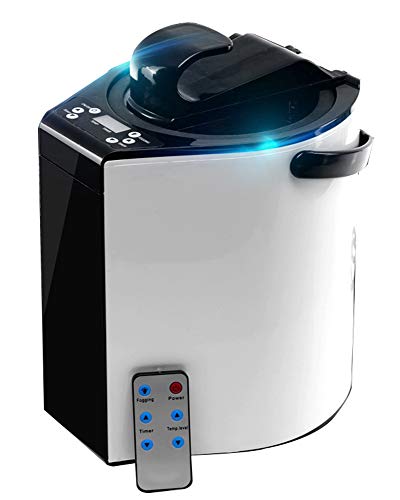 CGOLDENWALL - Sauna de vapor portátil para spa o saunas - Generador de vapor para el hogar - Máquina de vapor para sauna - Máquina de vapor - Sauna personal terapéutica - 3 L - 1000 W