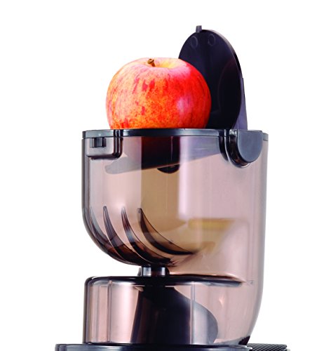 Chef Plus Essential Slow Juicer: Extractor de zumos, BPA Free, ultrasilencioso y con más Potencia 400W