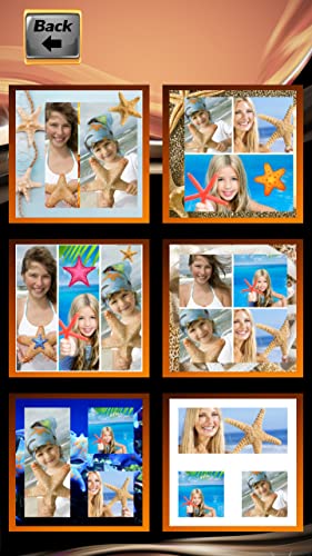 Collage de fotos de estrellas de mar