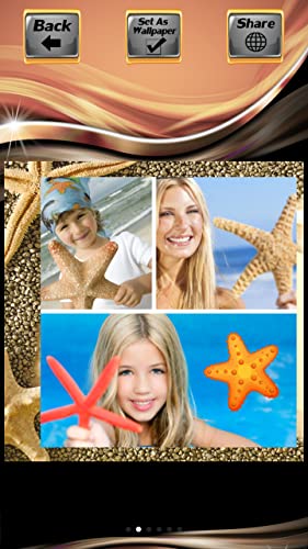 Collage de fotos de estrellas de mar