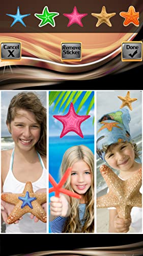 Collage de fotos de estrellas de mar