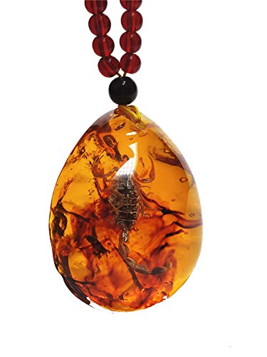 Collar de ámbar Scorpion King True insectos muestras colgante collar