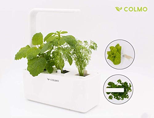 COLMO Jardín Interior Smart Garden Kit con Spectrum LED hidropónico Auto-riego en el hogar Smart Herbs & Veggies Planter