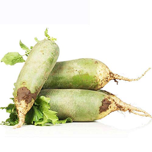 Coma semillas de hortalizas de temporada crudas, con piel verde, carne verde, crujientes y jugosas 300 piezas