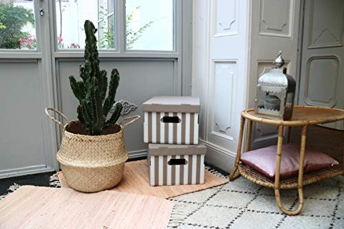 Compactor - Set de 2 Cajas « Shirt », taupe