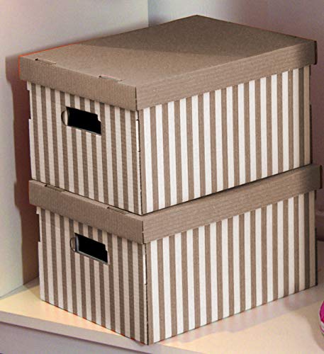 Compactor - Set de 2 Cajas « Shirt », taupe