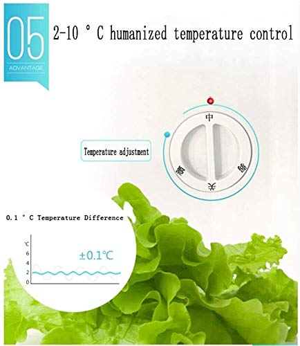 Congelador de una sola puerta mini refrigerador compacto con la cerradura - Silent ahorro de energía Oficina for/Ap/Piso - rack desmontable - Almacenamiento pequeña maquina expendedora Refrigerado