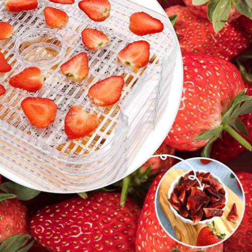 COOCHEER Deshidratador de Alimentos 400W,Desecadora de Fruta con 8 Bandejas Ajustables, Temperatura Regulable 35 °C-70 °C y Temporizador 0-72h,para Verduras Carne Flores,sin BPA